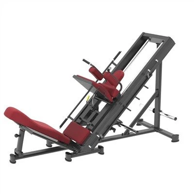 45 Leg Press Hack Squat